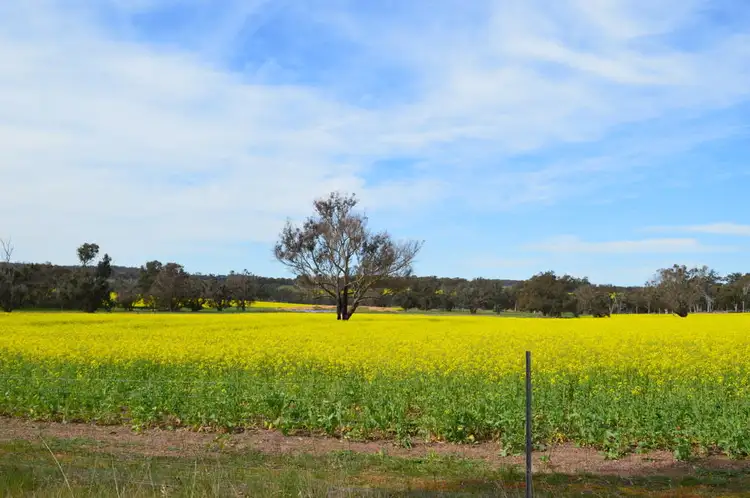 Fourth view of Homely rural property listing, L101 BOYUP BROOK-ARTHUR ROAD, Trigwell WA 6244