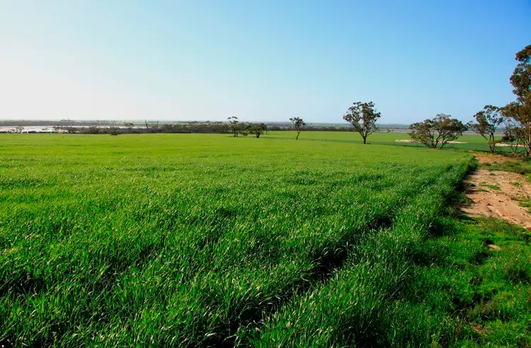 Fourth view of Homely rural property listing, - Lakeside, Corrigin WA 6375