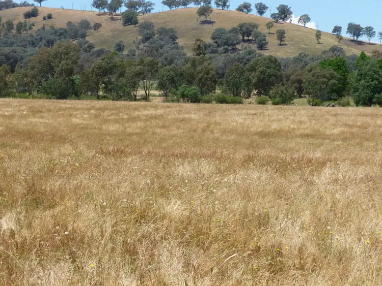 Third view of Homely rural property listing, Lot 2, 71 Forrest Lane, Chiltern VIC 3683
