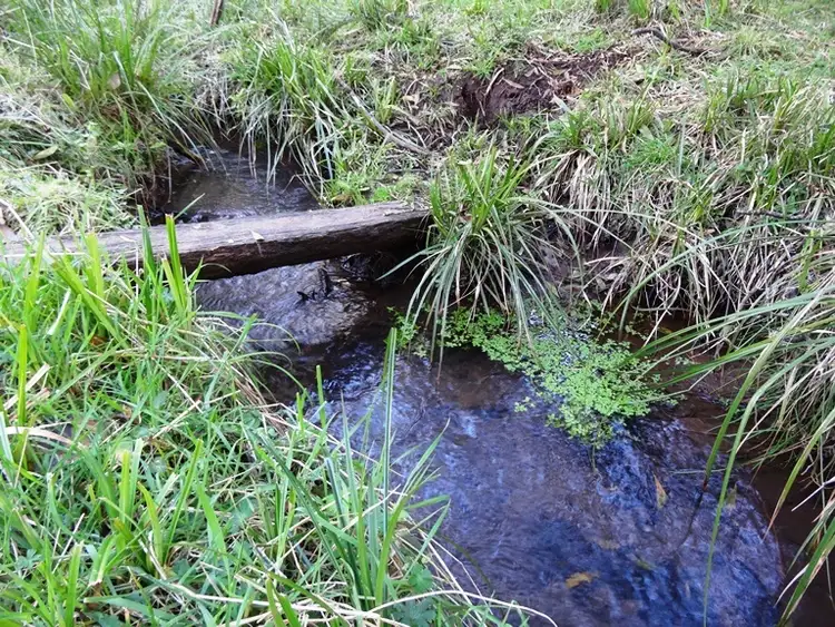 Sixth view of Homely rural property listing, Address available on request