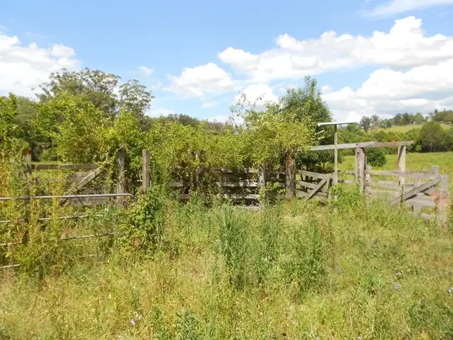 Fourth view of Homely house listing, 48 Laurel Rd, Veteran QLD 4570