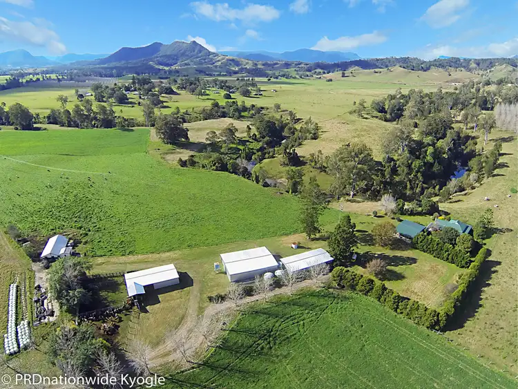 Sixth view of Homely rural property listing, 850 Wiangaree Back Road, Kyogle NSW 2474