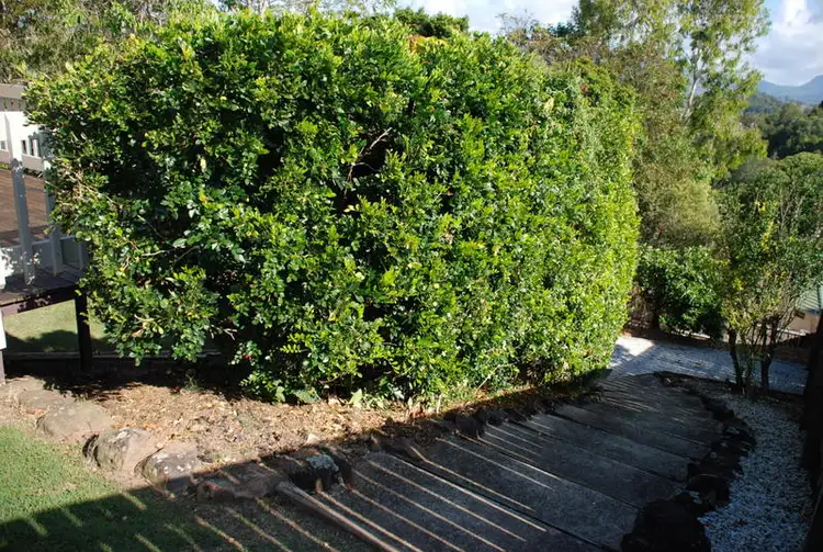 Seventh view of Homely house listing, 5 The Plateau, Murwillumbah NSW 2484