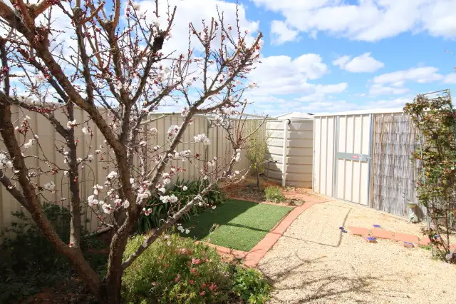 Fifth view of Homely house listing, 23 Nalara Avenue, Loxton SA 5333