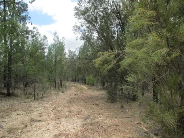 LOT 25 OLD PERTH ROAD, Tara QLD 4421