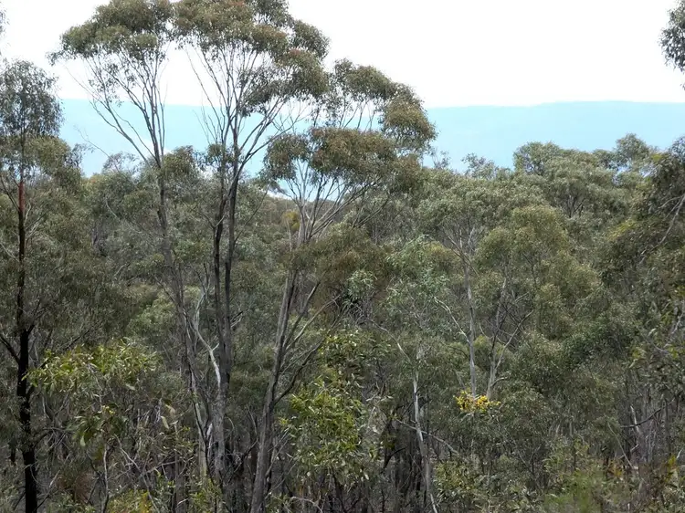 Main view of Homely land listing, Lot 1-TP512056 Pyrenees Highway, Avoca VIC 3467