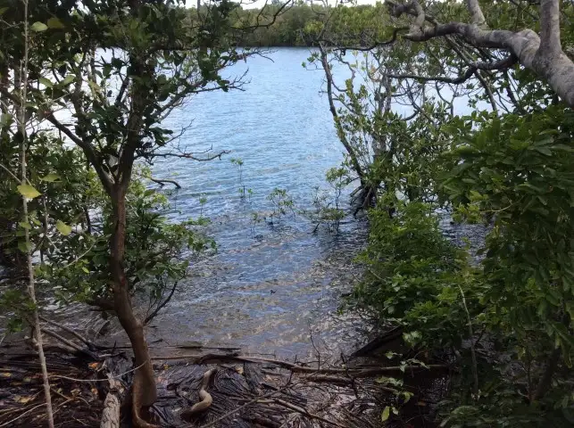 Second view of Homely land listing, 38 Slaughter Yard Road, Cooktown QLD 4895