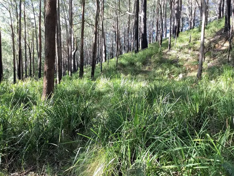 Fifth view of Homely land listing, Lot 6 Sec 5 Station Road DP4591, Otford NSW 2508