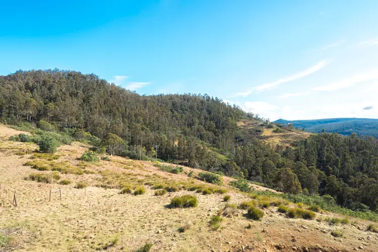 Seventh view of Homely land listing, 275 Horners Road, Elderslie TAS 7030