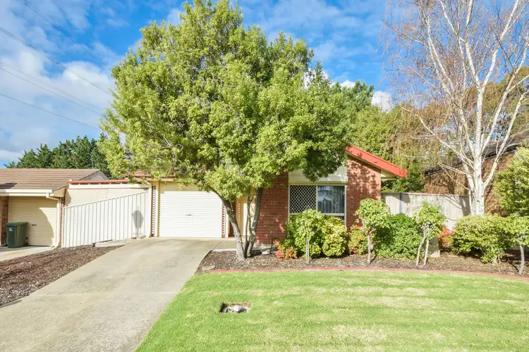 11 Gino Close, Flagstaff Hill SA 5159