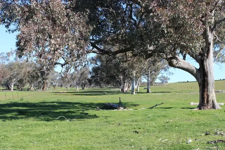Seventh view of Homely rural property listing, 1520 Loombah Road, Yeoval NSW 2868
