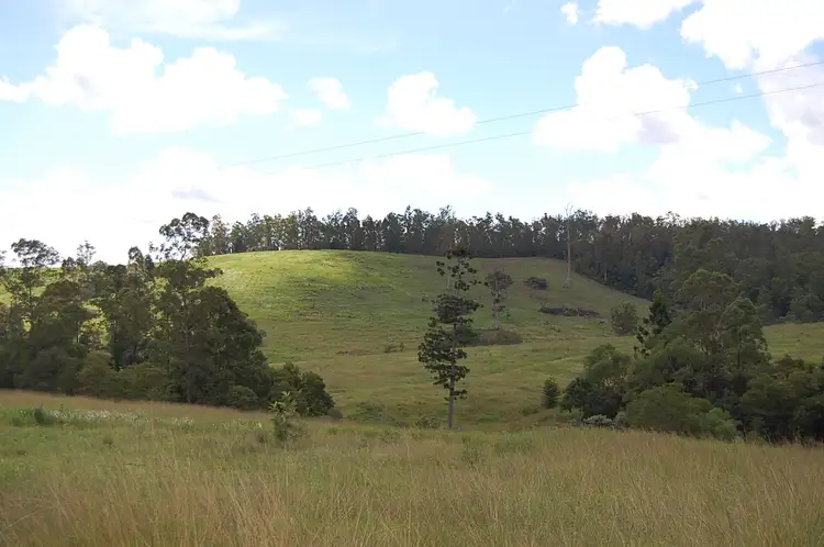 Third view of Homely rural property listing, Culmaran Creek Larsson Road, Culmaran Creek NSW 2469