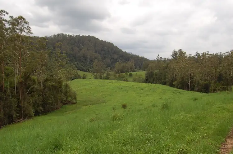 300 Darkwood Road, Thora, Bellingen NSW 2454