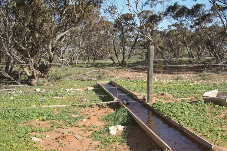 Sixth view of Homely rural property listing, Section 1 Hundred of Holder, Maggea SA 5311