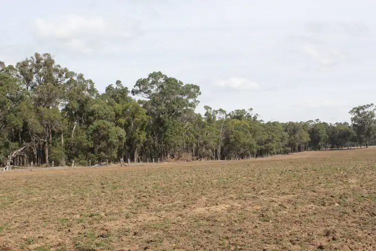 Fifth view of Homely rural property listing, Lot 819 Halsey Road, Mount Barker WA 6324