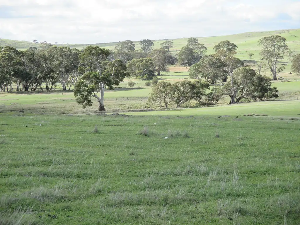 Main view of Homely rural property listing, 5 Sections Kubenk Rd, Rockleigh SA 5254