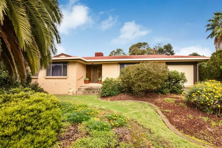 24 Loman Street, Morphett Vale SA 5162
