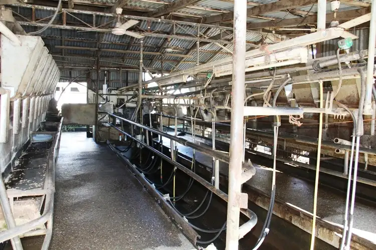 Sixth view of Homely rural property listing, 203 Back Valencia Creek Road, Boisdale VIC 3860