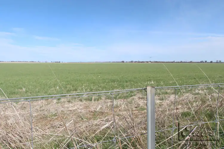 Fifth view of Homely rural property listing, Cnr St Arnaud-Wycheproof Rd & Charlton-Jeffcott Rd, Wooroonook VIC 3525