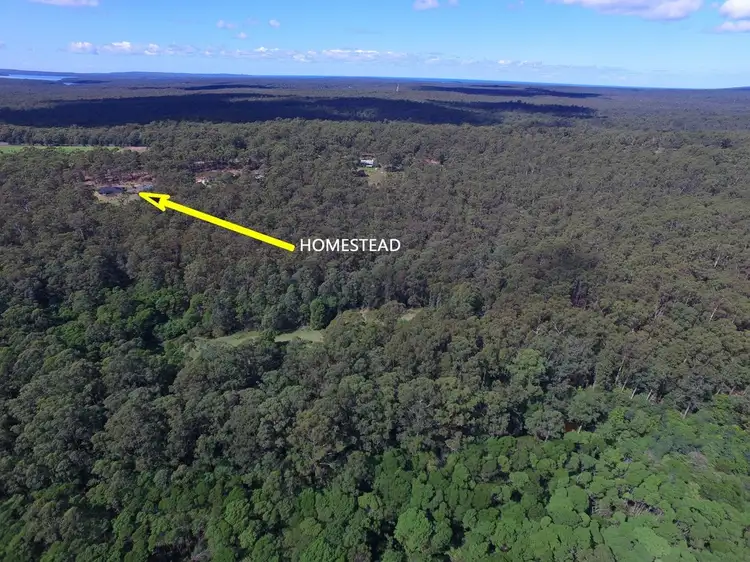 D3090B Princes Highway, Jerrawangala NSW 2540