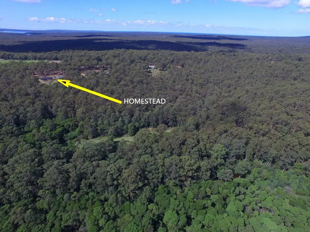 Main view of Homely rural property listing, D3090B Princes Highway, Jerrawangala NSW 2540