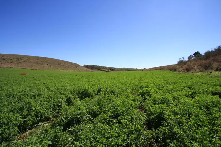 Fourth view of Homely rural property listing, 'ROCKYBAH' Springfield Rd, Nimmitabel NSW 2631