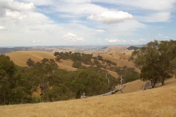 Seventh view of Homely land listing, 360 McNally's Road, Strath Creek VIC 3658