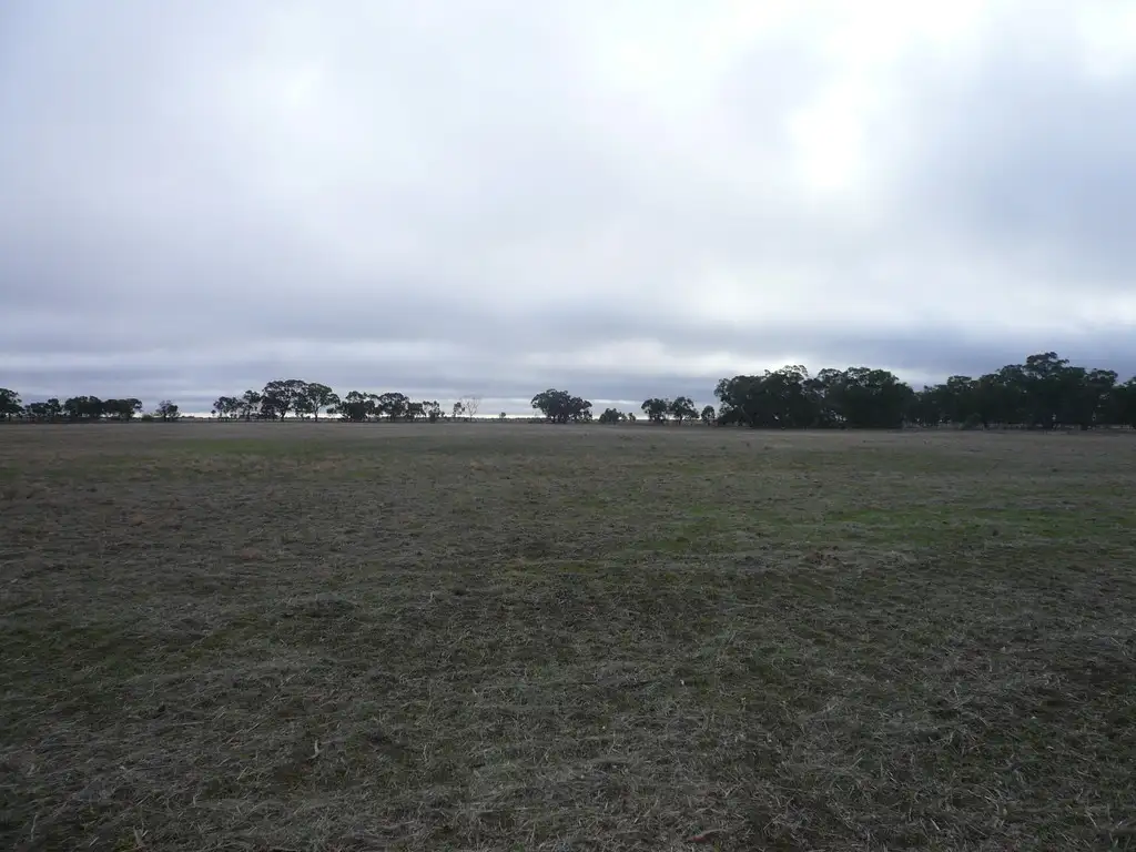 Main view of Homely rural property listing, Western HIghway, Dimboola VIC 3414