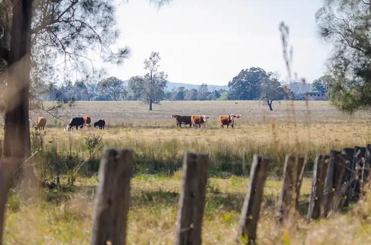 Third view of Homely rural property listing, 1425 Lawrence Road, Southgate NSW 2460