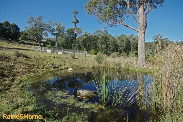 Sixth view of Homely house listing, 144A Misty Hill Road, Mountain River TAS 7109