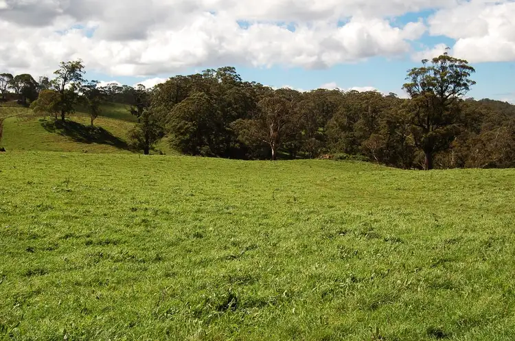 Seventh view of Homely rural property listing, Address available on request