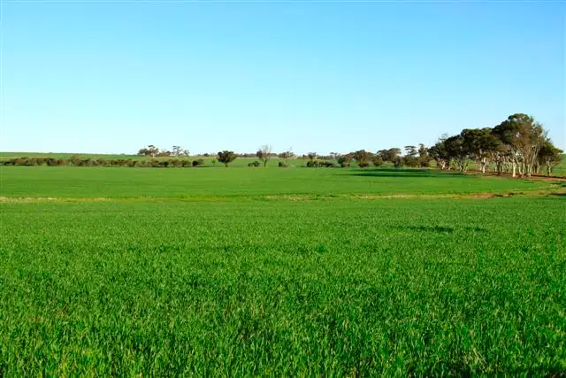 Fifth view of Homely rural property listing, Lot 5673 Hammonds Hill Road, Quairading WA 6383