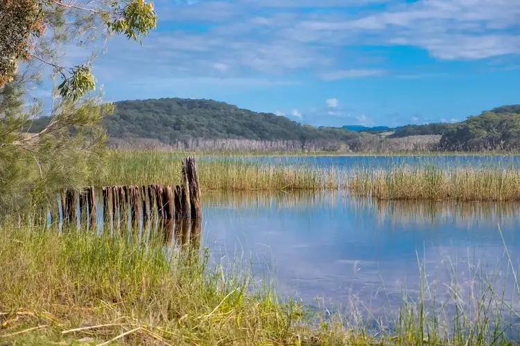 Second view of Homely studio listing, 36/77 Tamarind Avenue, Cabarita Beach NSW 2488