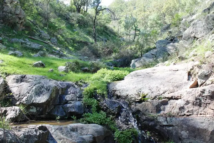 Sixth view of Homely land listing, 211 Riverlea Road, Mudgee NSW 2850