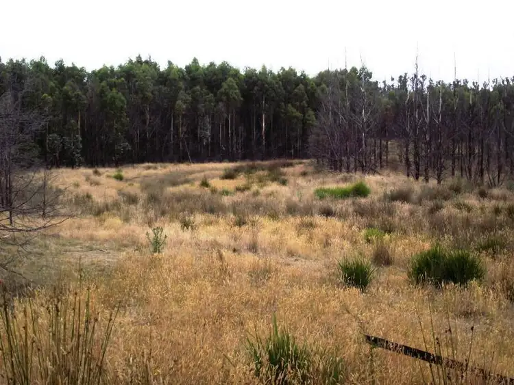 Sixth view of Homely rural property listing, 70 Blue Hills Road, Copping TAS 7174