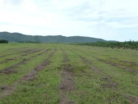 Second view of Homely rural property listing, Address available on request