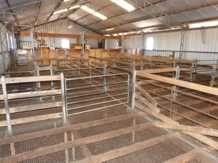 Fifth view of Homely rural property listing, 848 Wurfel Road, Pinnaroo SA 5304