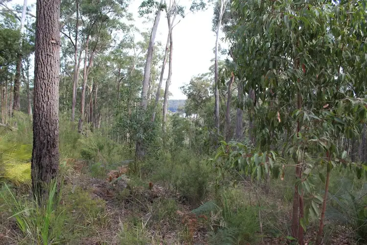 Second view of Homely land listing, Lot 19 Old Nelligen Road, Nelligen NSW 2536