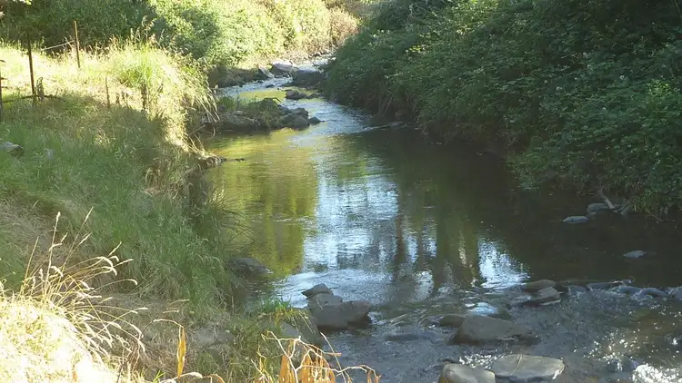 Seventh view of Homely rural property listing, Lot 3 Old Tumbarumba Road, Tumut NSW 2720