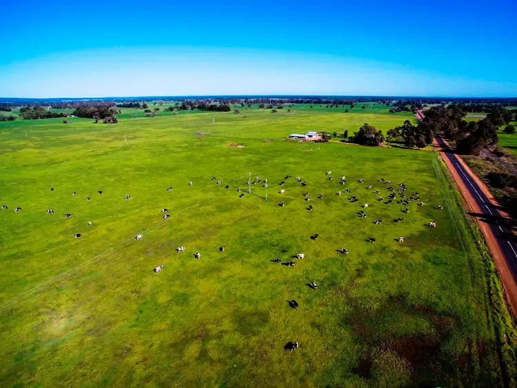 Fourth view of Homely rural property listing, 1386 Railway Road, Boyanup WA 6237