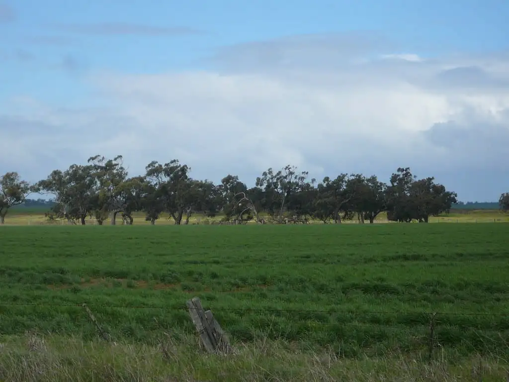 Main view of Homely rural property listing, Donald -Minyip Road, Donald VIC 3480