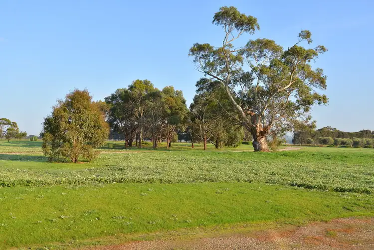 Third view of Homely rural property listing, 603-689 Portarlington-Queenscliff Road, St Leonards VIC 3223