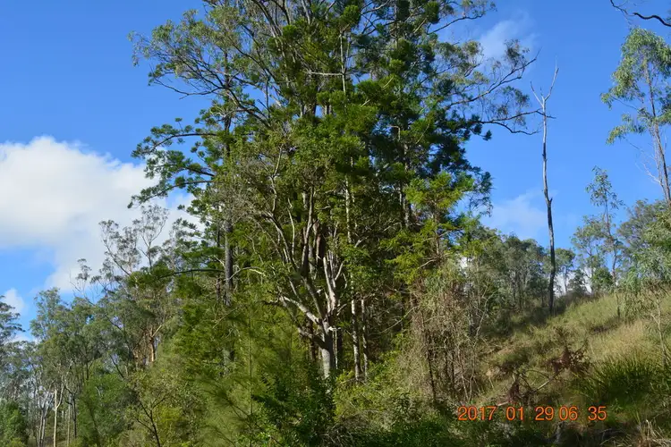 Sixth view of Homely rural property listing, Address available on request