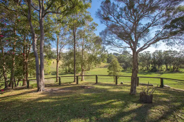 Fourth view of Homely rural property listing, 521 Round Mountain Road, Round Mountain NSW 2484