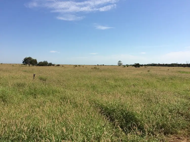 Fourth view of Homely rural property listing, 487 Hills Access Road, Dingo QLD 4702