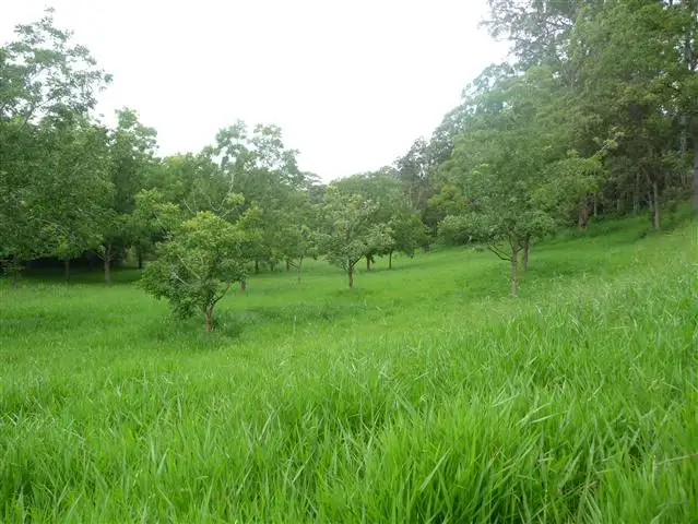 Fifth view of Homely land listing, 391 Dr Pages Road, Kin Kin QLD 4571