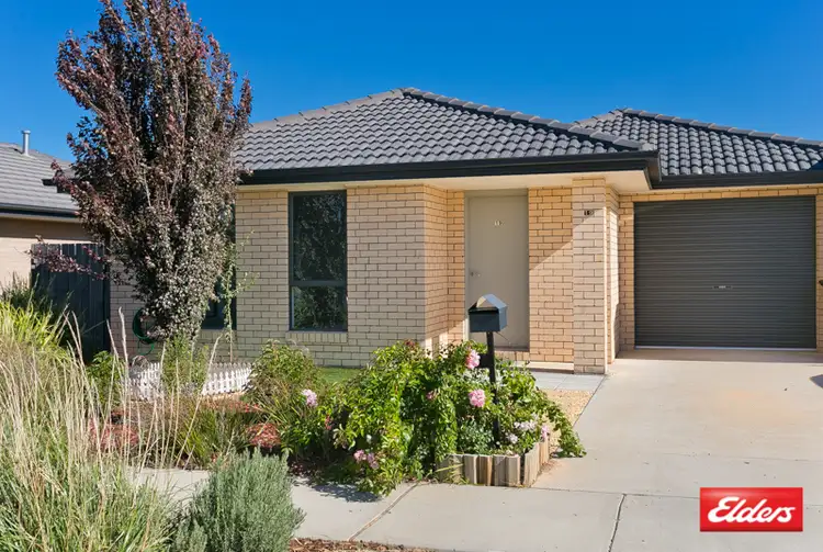 Main view of Homely house listing, 19 Rag Holmes Street, Macgregor ACT 2615
