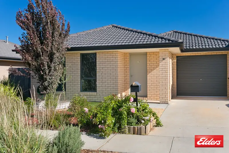 Main view of Homely house listing, 19 Rag Holmes Street, Macgregor ACT 2615