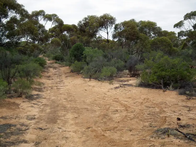Third view of Homely land listing, Section 386 Ral Ral Avenue, Cooltong SA 5341