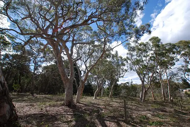 Main view of Homely land listing, Lot 1 Bumballa Road, Tallong NSW 2579